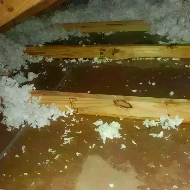 Attic Water Damage in Home Gardens, CA